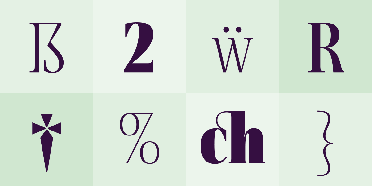 BF Rotwang – A transitional typeface with a metropolitan touch